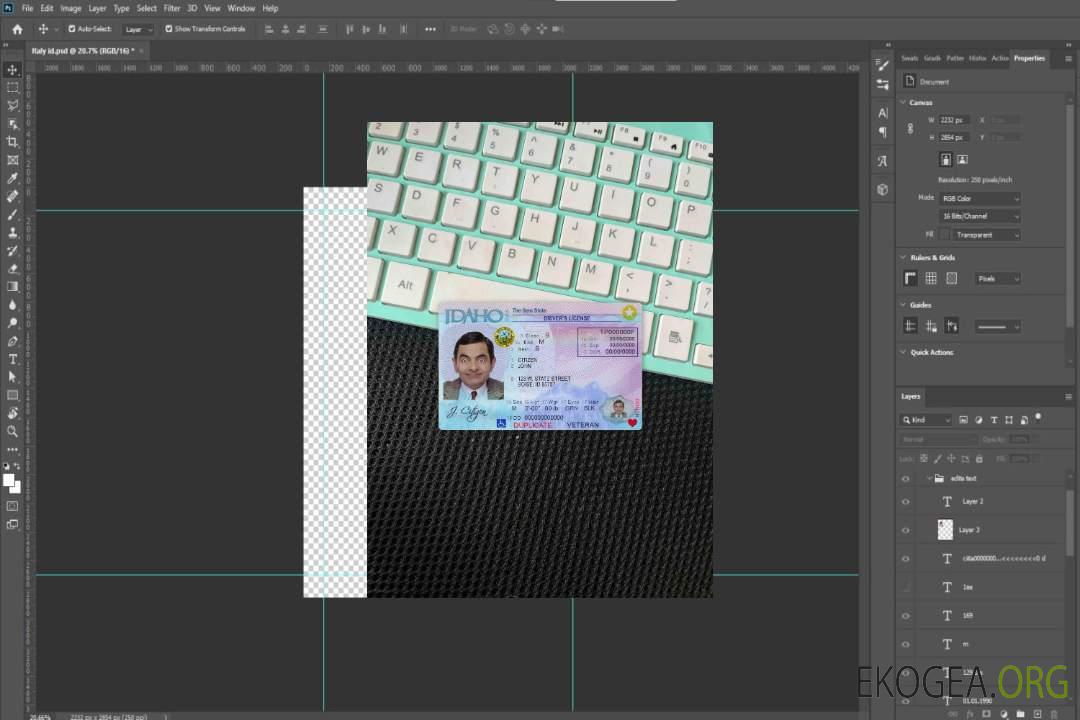 USA Idaho DL photolook AVANT template USA Idaho DL photolook AVANT template